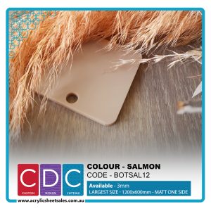 33-salmon-code-botsal12-300x300